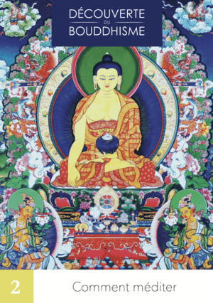 DB2 – Comment méditer