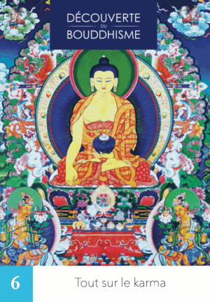 DB6 - Tout sur le karma