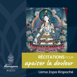 Récitations pour apaiser la douleur - Livre audio