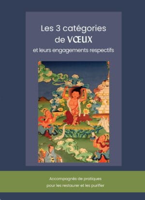 Les trois catégories de voeux et leurs engagements respectifs