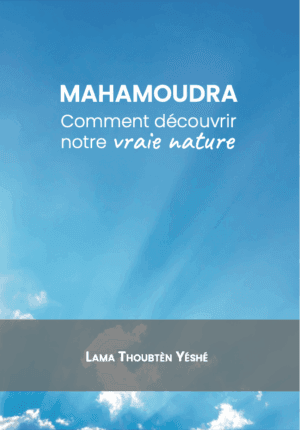 Mahamoudra – Comment découvrir notre vraie nature