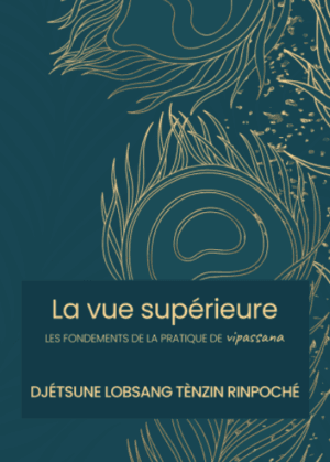La vue supérieure – Les fondements de la pratique de vipassana